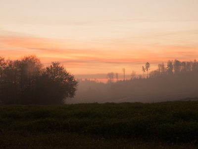 Jungian Psychotherapy: A Path Towards Meaning, Integration, and Inner Wholeness